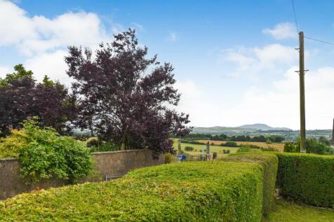 View from Garden