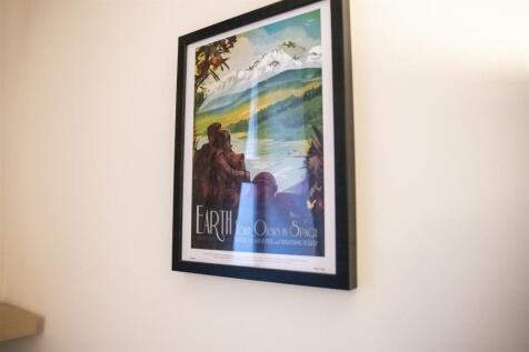 IMG_7807.jpeg