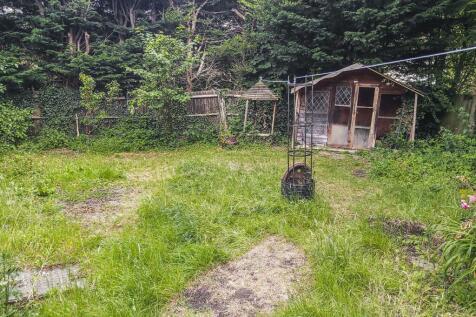 Garden .jpg