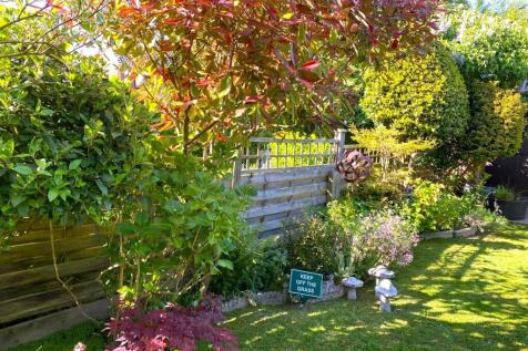 Garden Picture Three.jpg