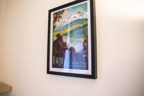 IMG_7807.jpeg