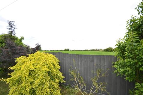 fields_107.JPG