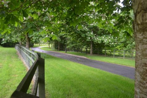 Driveway.JPG