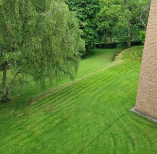 View from Kitchen.jpg