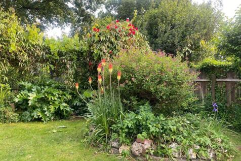 GARDEN FLOWER.jpg