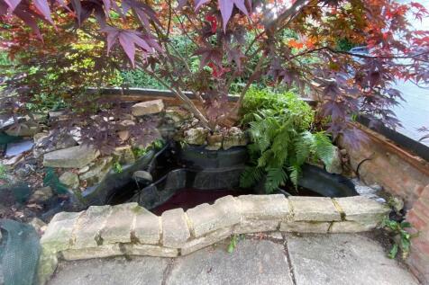 GARDEN POND.jpg