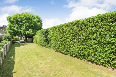 garden 3.jpg