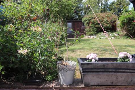 Rear garden/Patio area