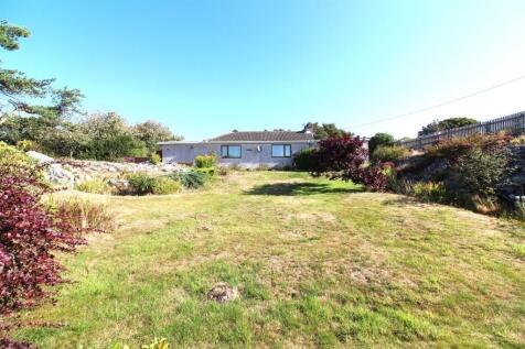 back garden.JPG