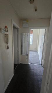 IMG-20250221-WA0026.jpg