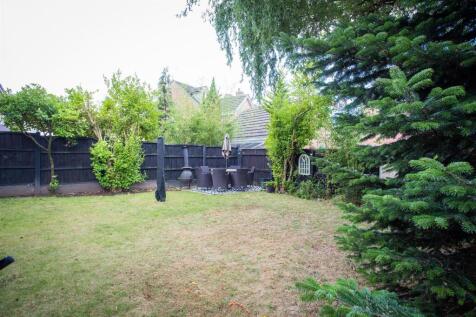 Back Garden