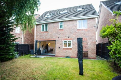 Back Garden