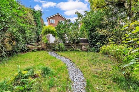 view back to house.jpg