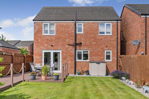 Outside - Back Garden