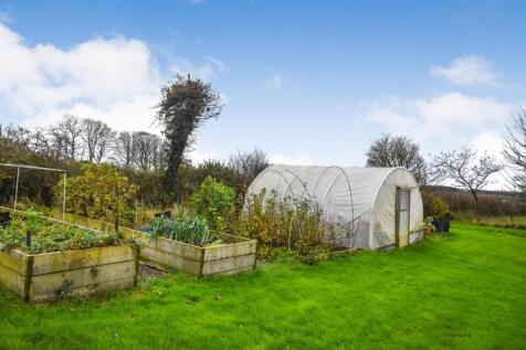 Raised Beds and Polytunnel