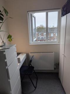 WhatsApp Image 2025-11-10 at 6.17.42?PM (4).jpeg