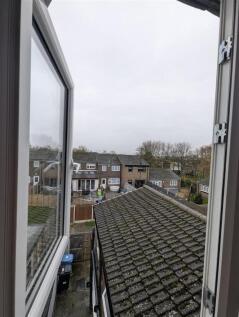 WhatsApp Image 2025-11-10 at 6.17.42?PM (3).jpeg