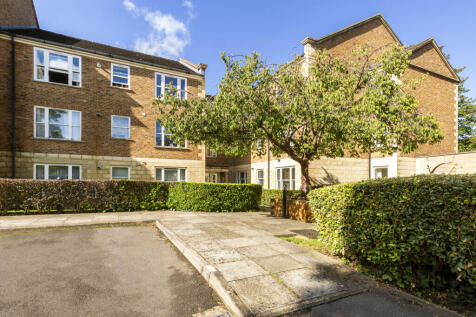YEW TREE 9 (12)