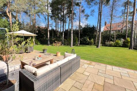 Property Image 49