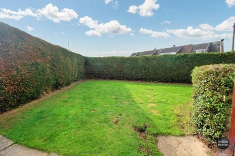 lawn