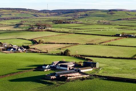 West Ashyard