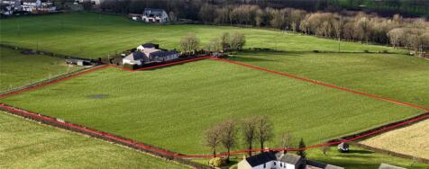 Grazing Field