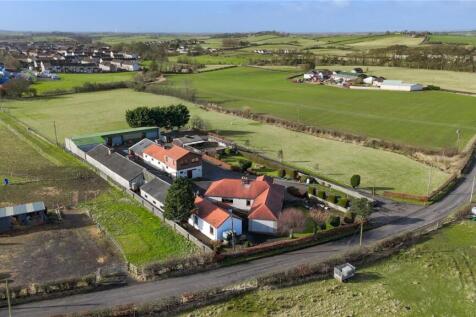 Aerial Photograph