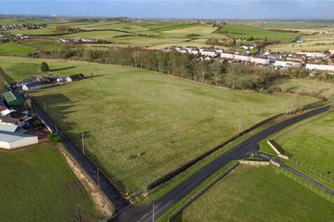 Top Paddock