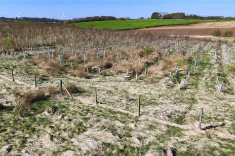 Land At Cauldhame