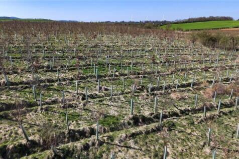 Land At Cauldhame
