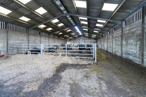 Straw Cattle Court