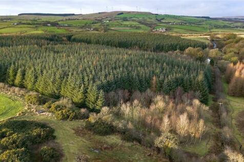 Drone Photograph