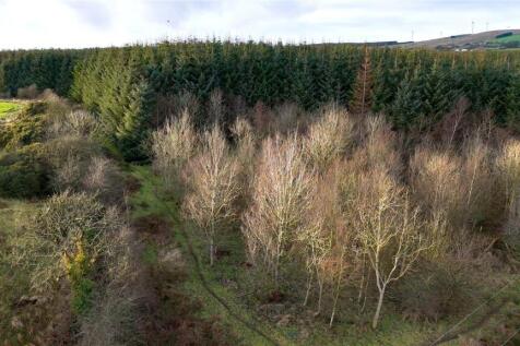 Drone Photograph