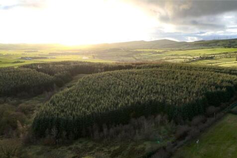 Drone Photograph
