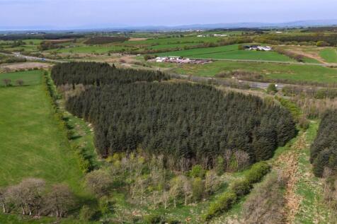 Laighmuir Woodland
