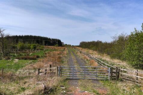 Laighmuir Woodland