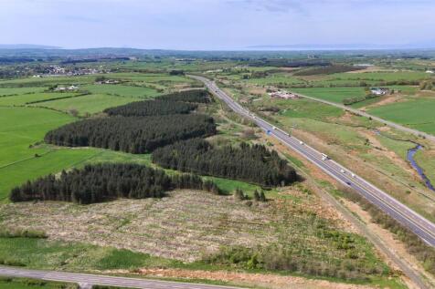 Laighmuir Woodland