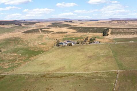 Aerial Shot