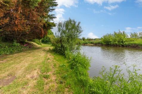 Garden/Riverbank