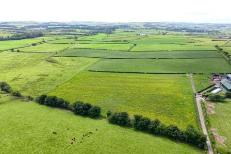 Aerial Photograph