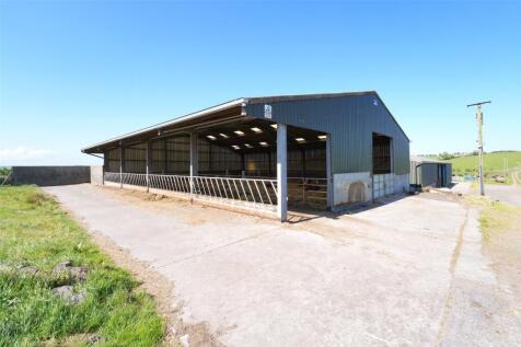 Cattle Shed
