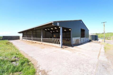 Cattle Shed