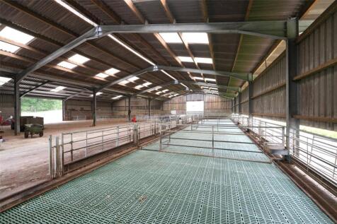 Sheep Slats