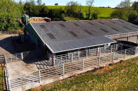Slatted Cattle Shed