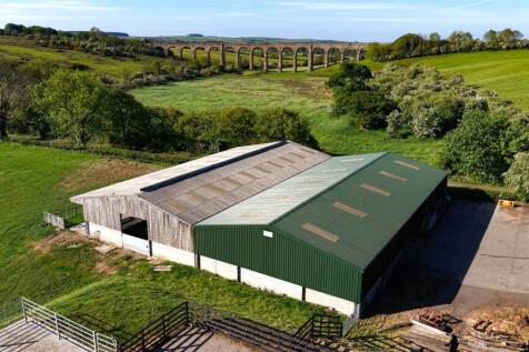Lambing Shed