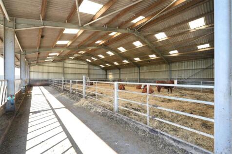 Cattle Shed