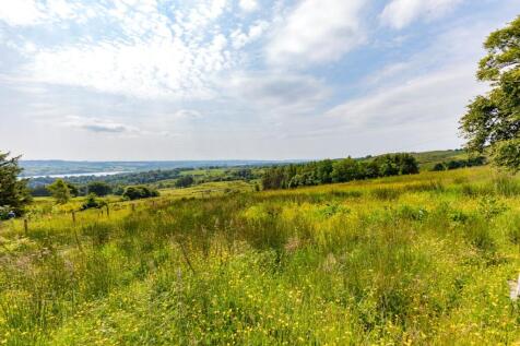 Grazing Land