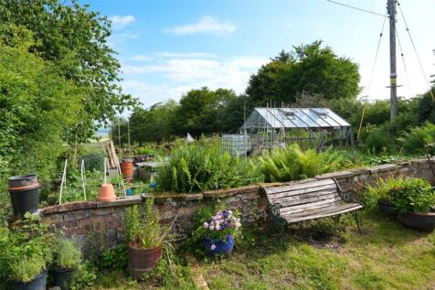Vegetable Garden