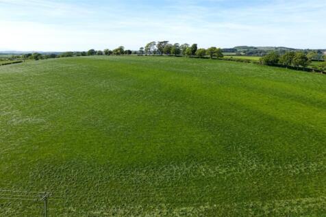 Brackenhill Farm