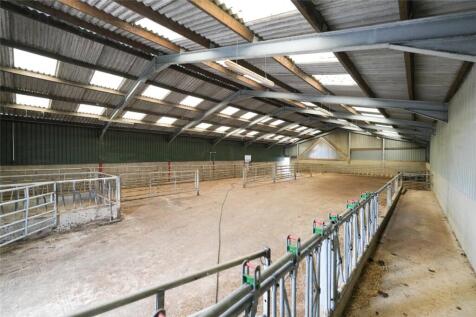 Calfing Shed